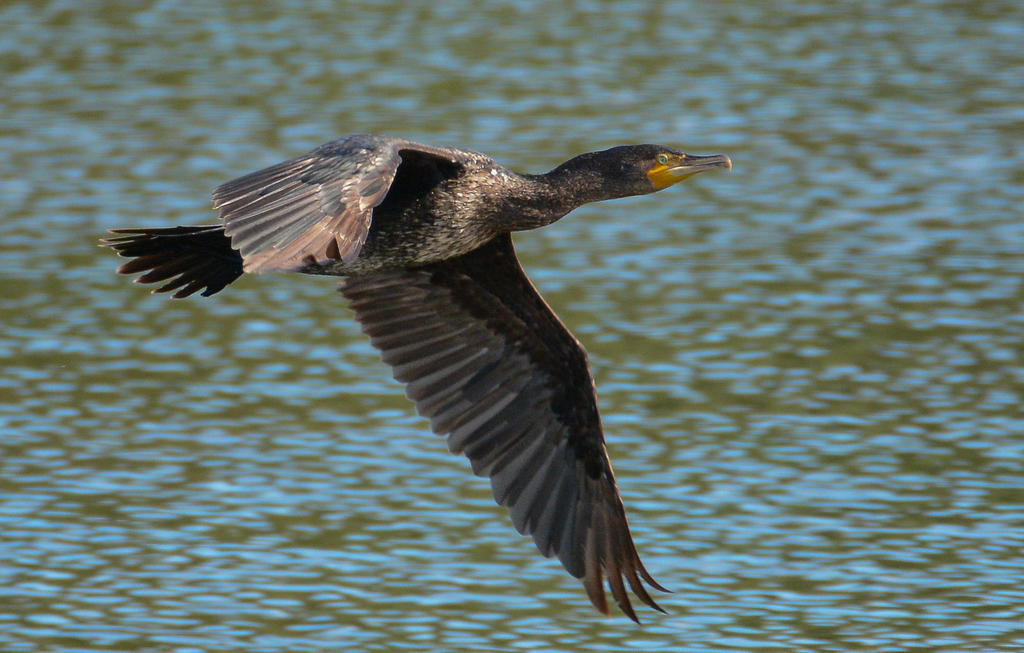 DSC_4163-2.jpg