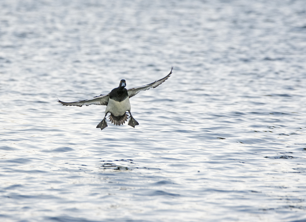 DSC_4169.jpg
