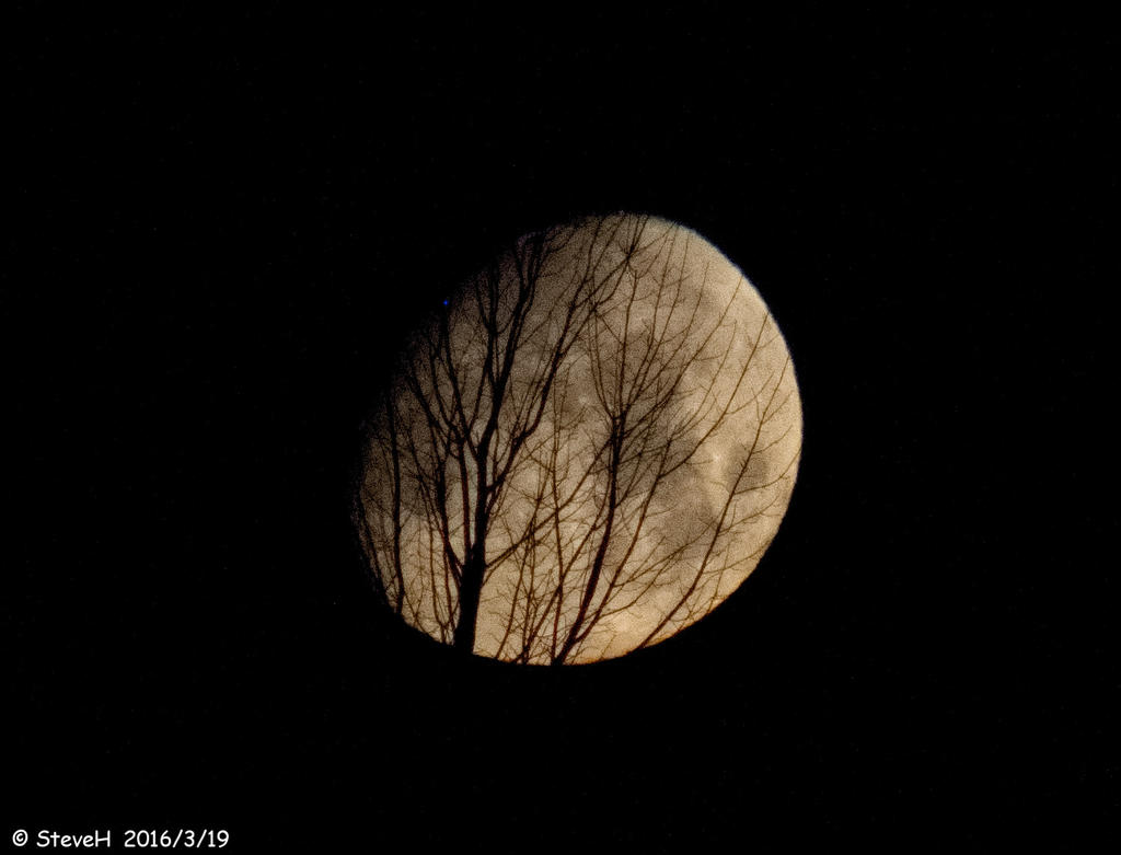 DSC_4173.jpg