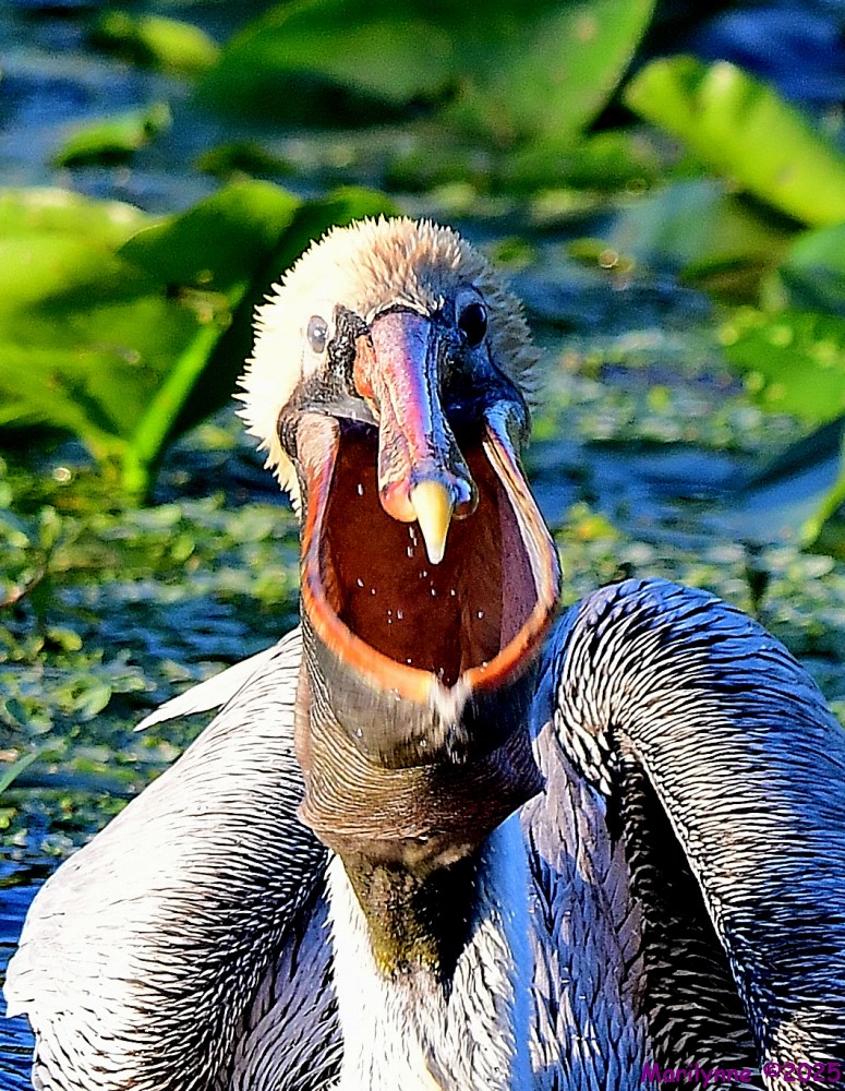 DSC_4174_001.JPG