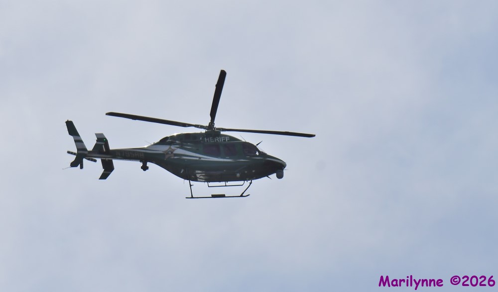 DSC_4179_001.JPG