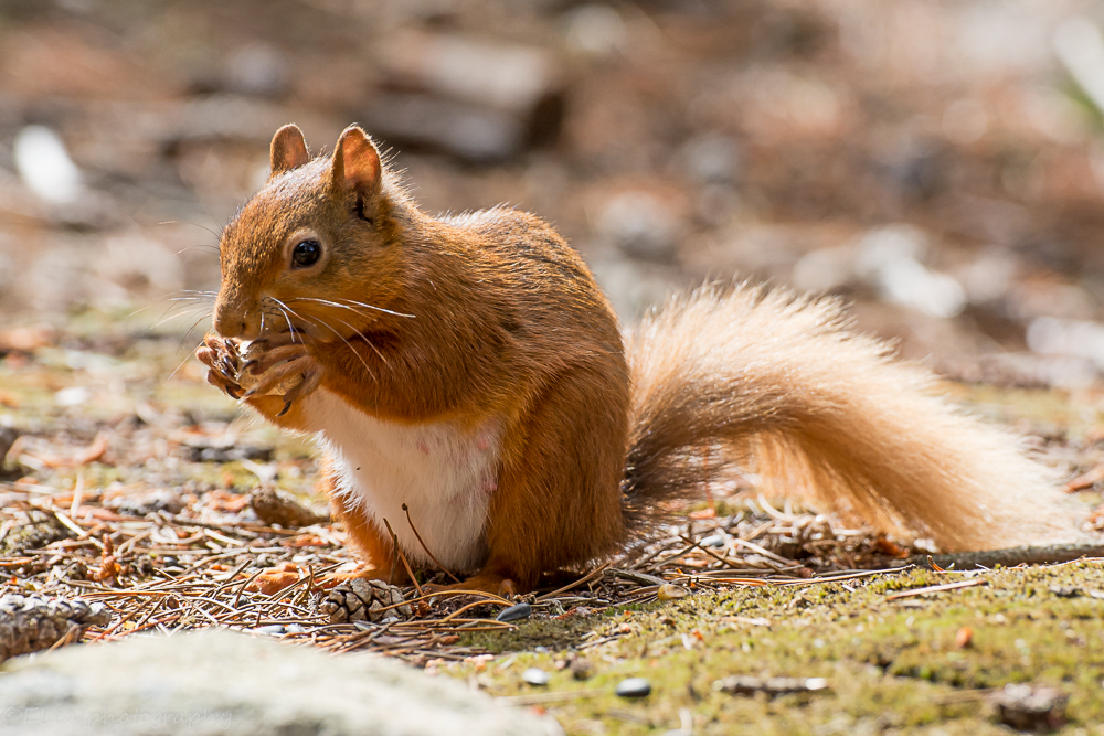 DSC_4180.jpg