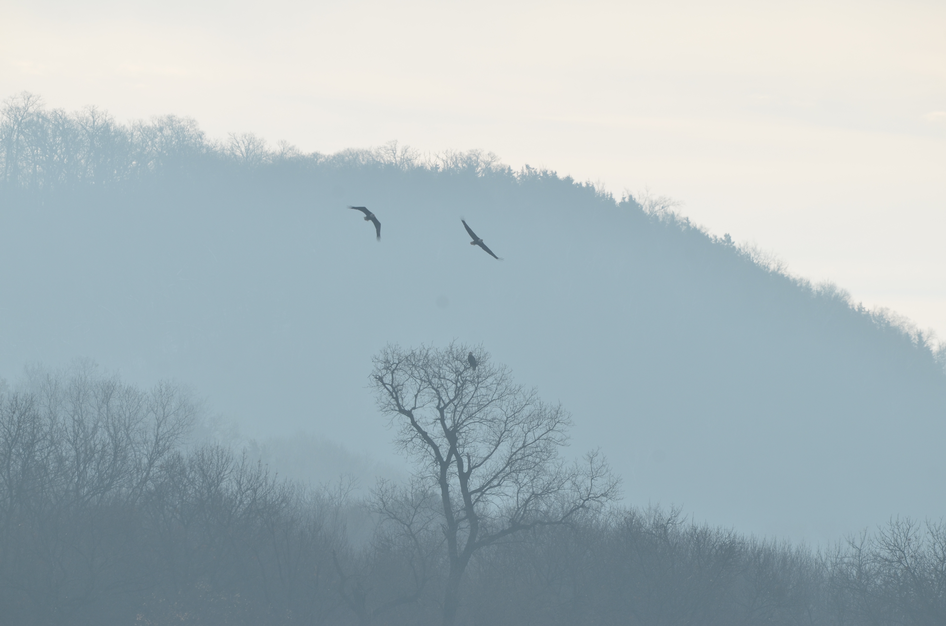 DSC_4189.JPG