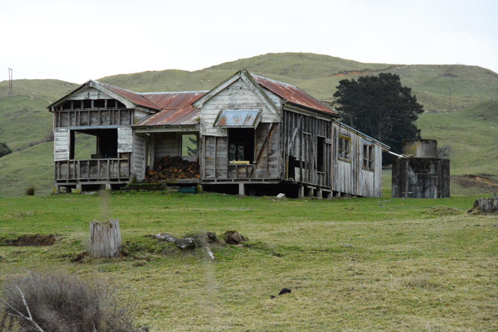 DSC_4195.jpg