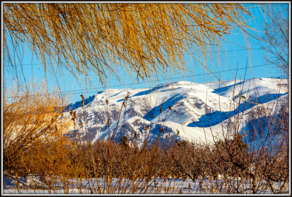 DSC_4195.jpg