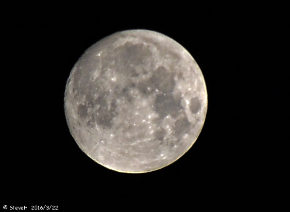 DSC_4204.jpg