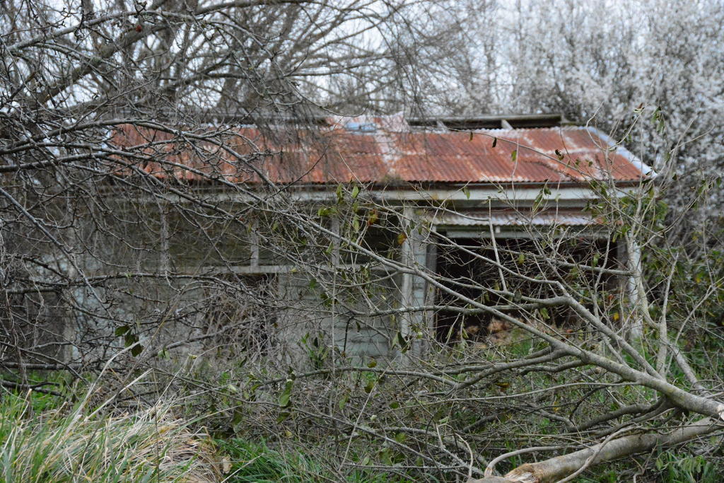 DSC_4210.jpg