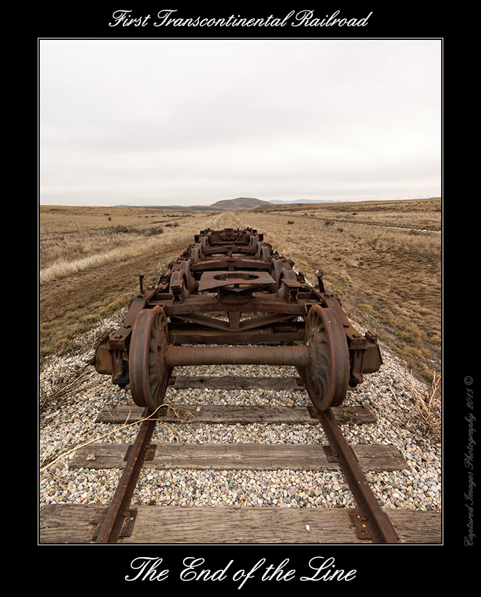 DSC_4210_Web.jpg