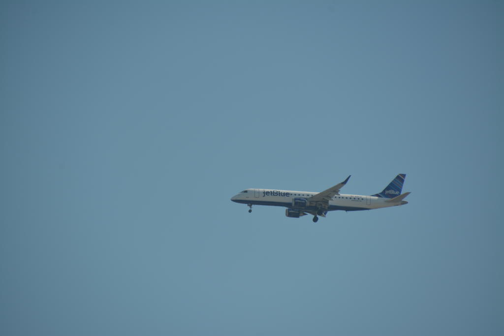 DSC_4216.jpg