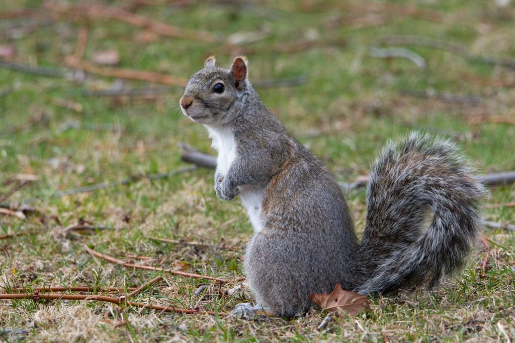 DSC_4218.jpg
