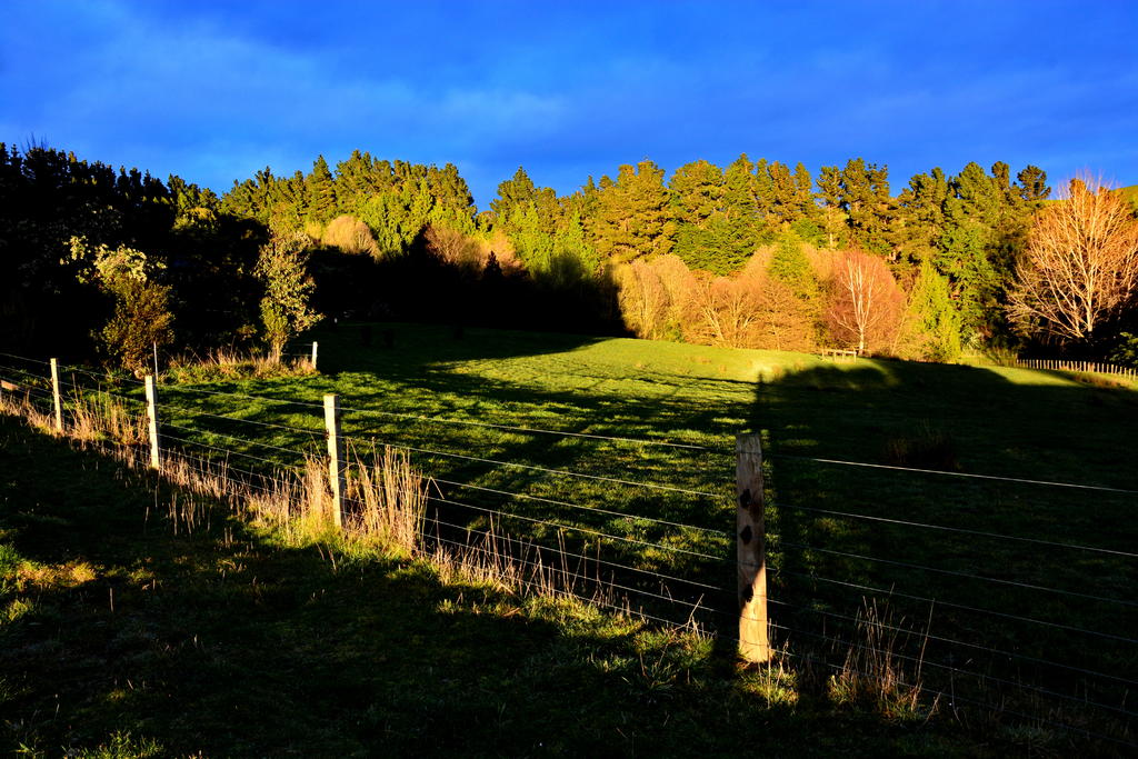 DSC_4222.jpg
