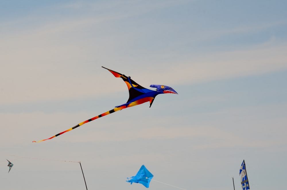 DSC_4227 (1000x662).jpg