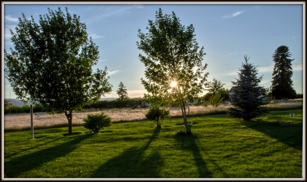 DSC_4230.jpg