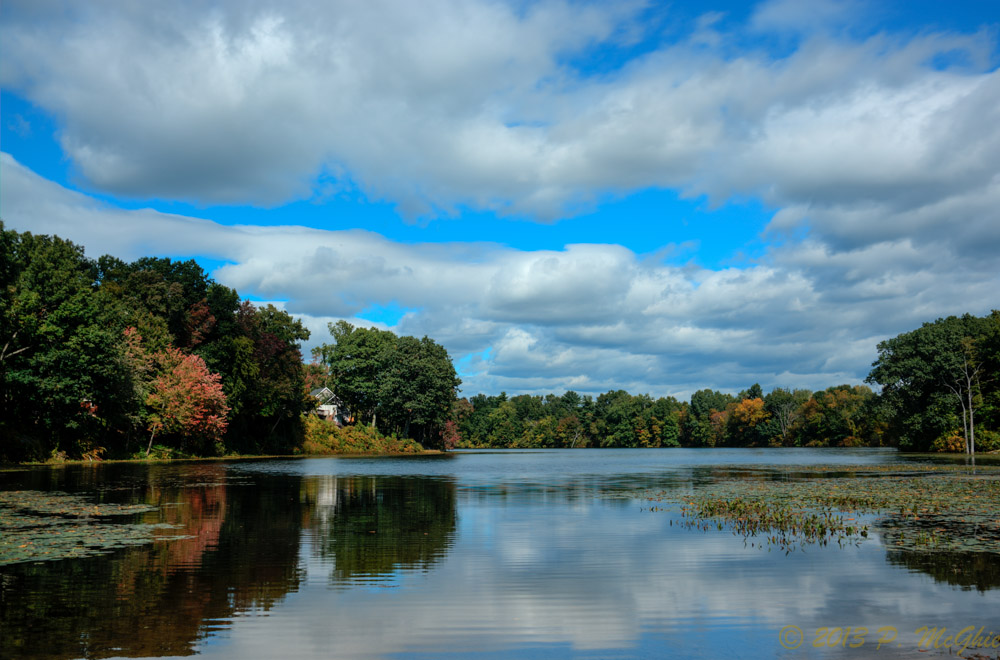 DSC_4231_2_3_4_5_tonemapped.jpg