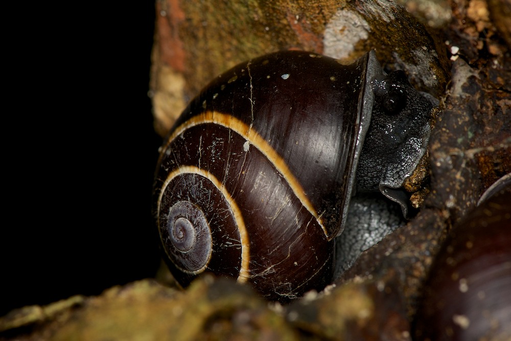 DSC_4234.jpg