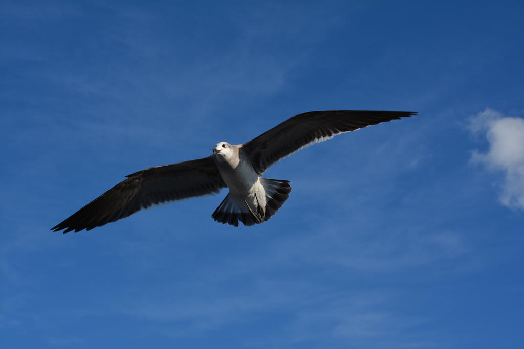 DSC_4235.jpg