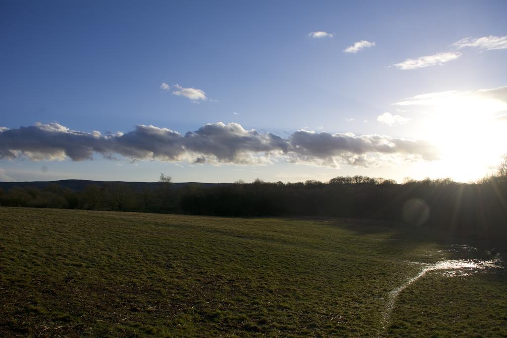 DSC_4239.jpg