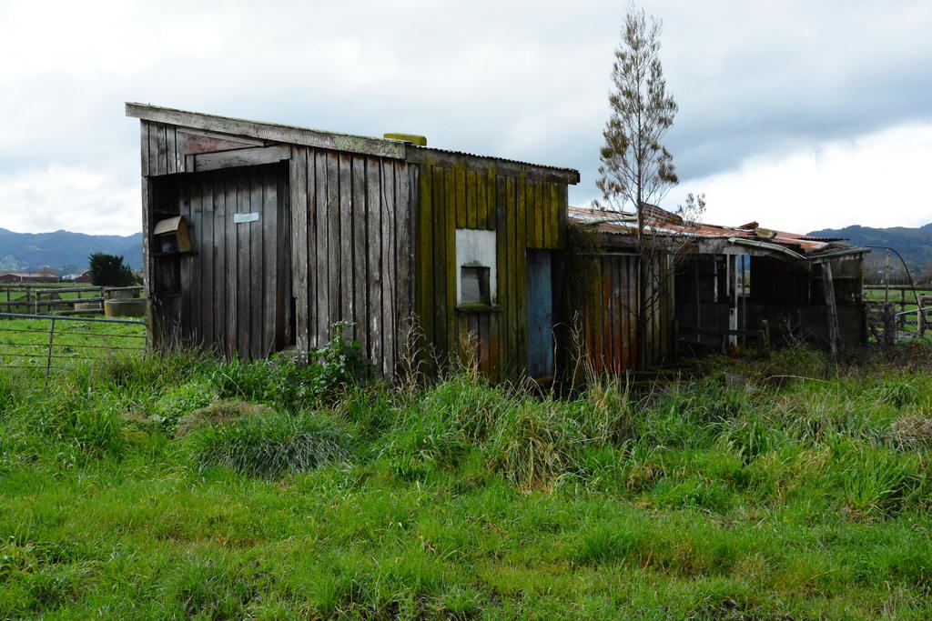 DSC_4242.jpg