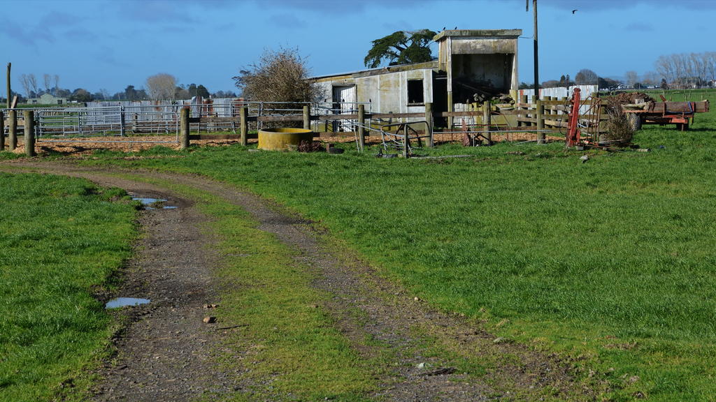 DSC_4244.jpg