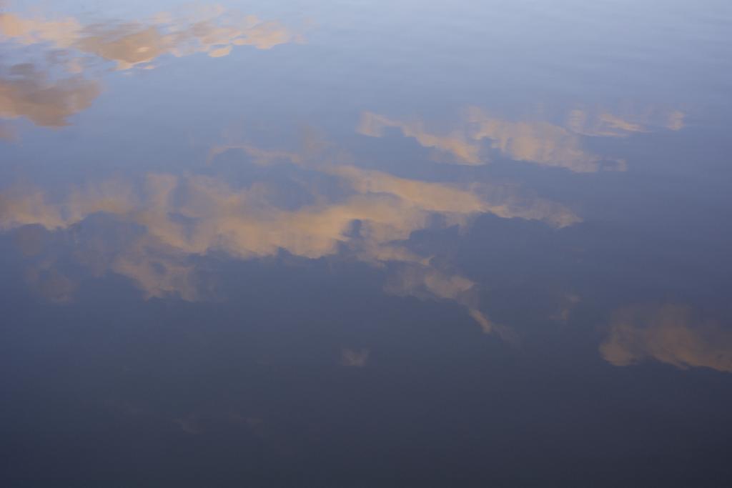 DSC_4246.jpg