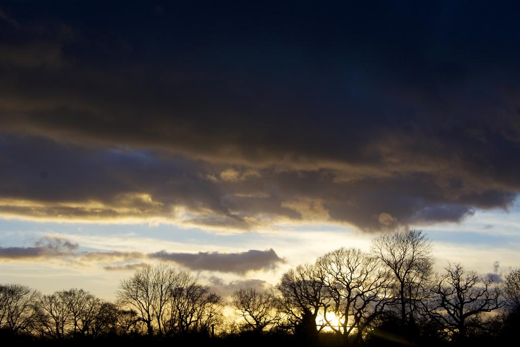 DSC_4247.jpg