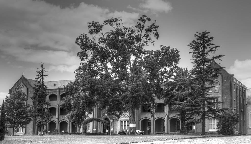 DSC_4247_bw.jpg