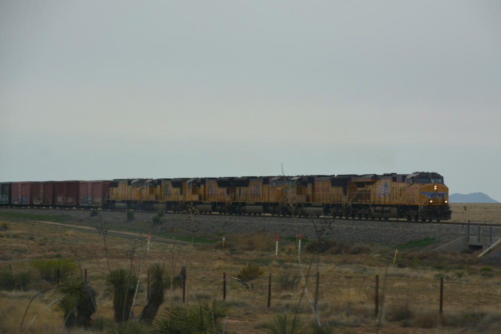 DSC_4252.jpg