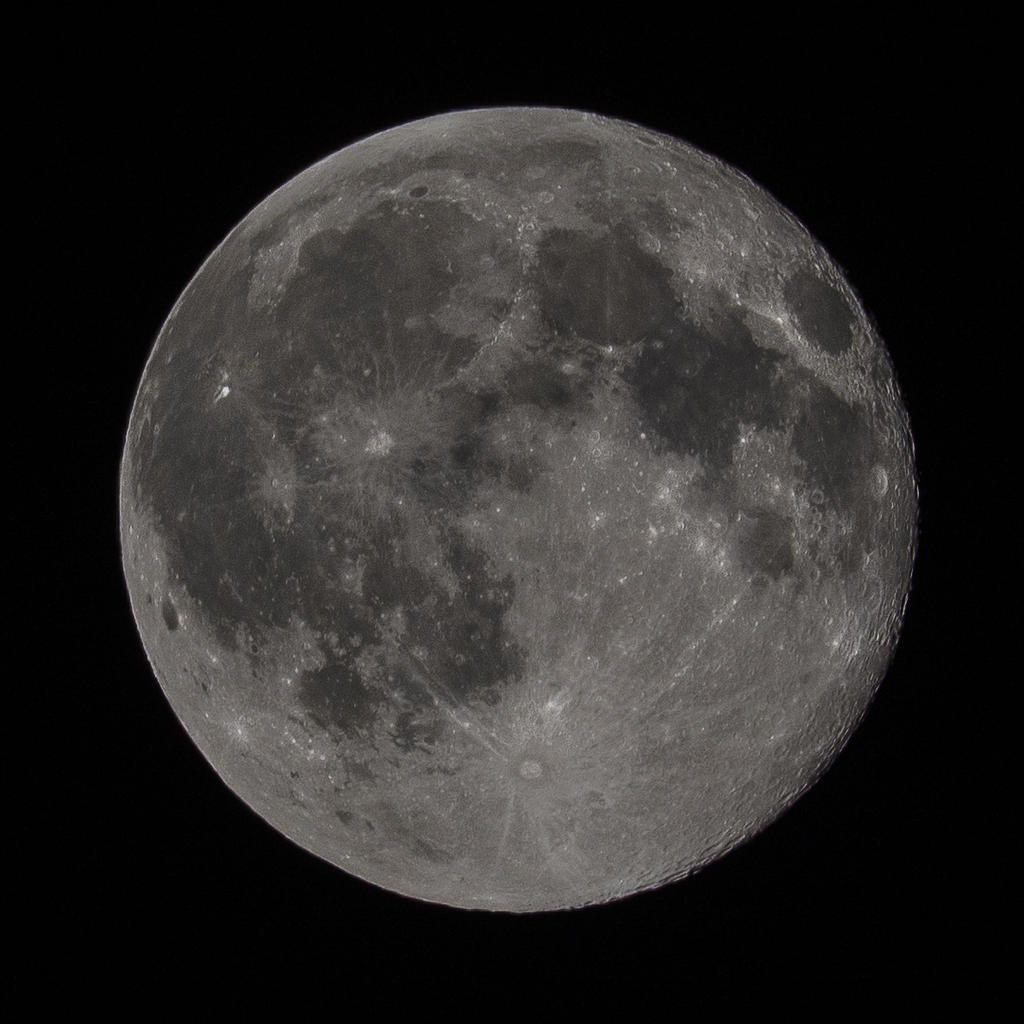 DSC_4256.jpg