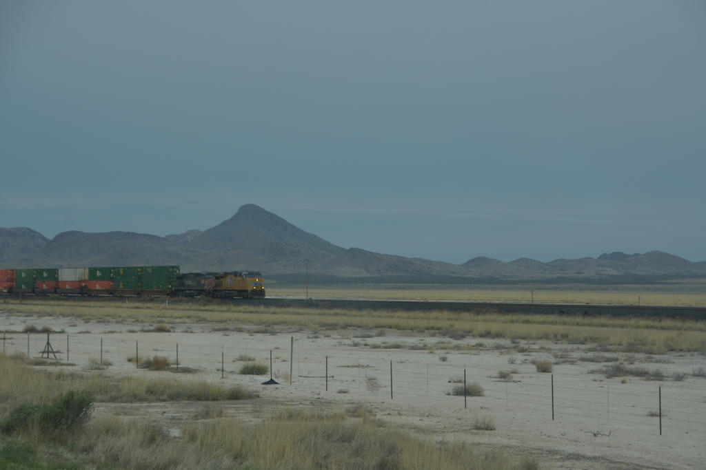 DSC_4259.jpg