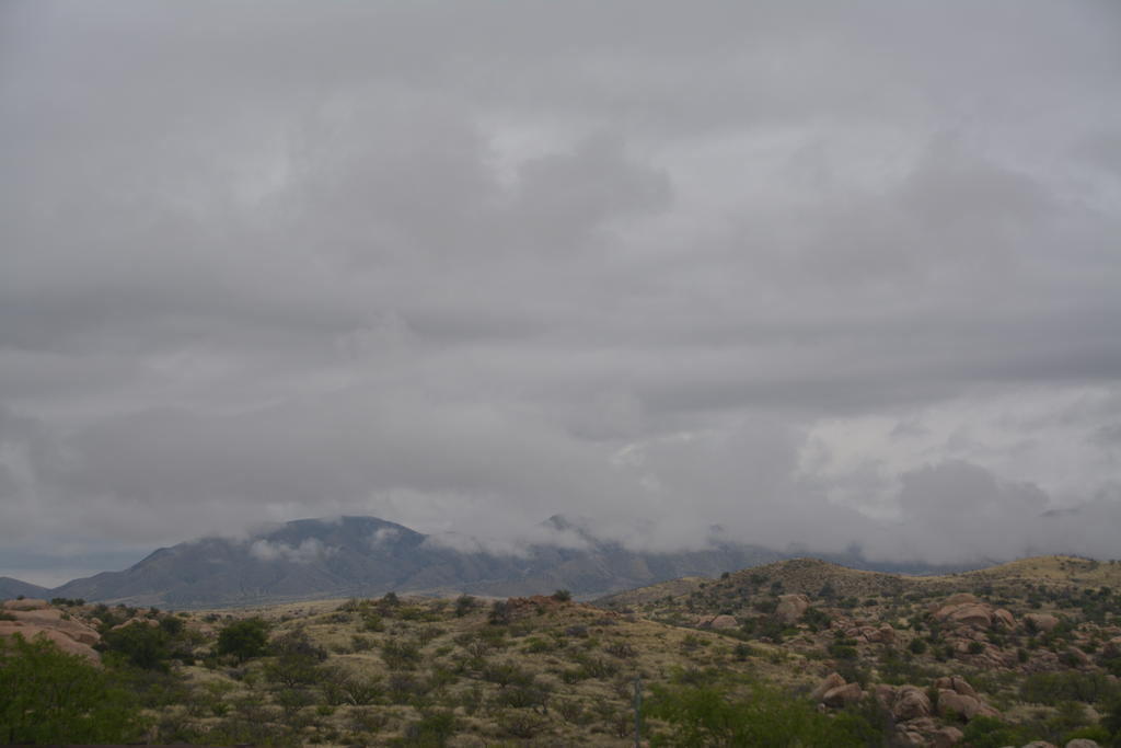 DSC_4263.jpg