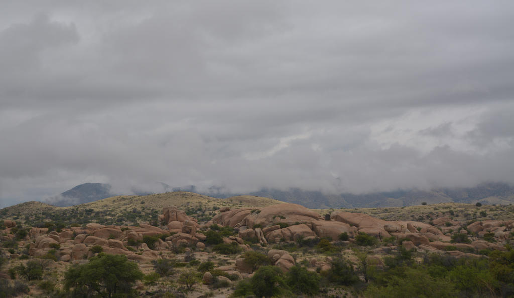 DSC_4266.jpg