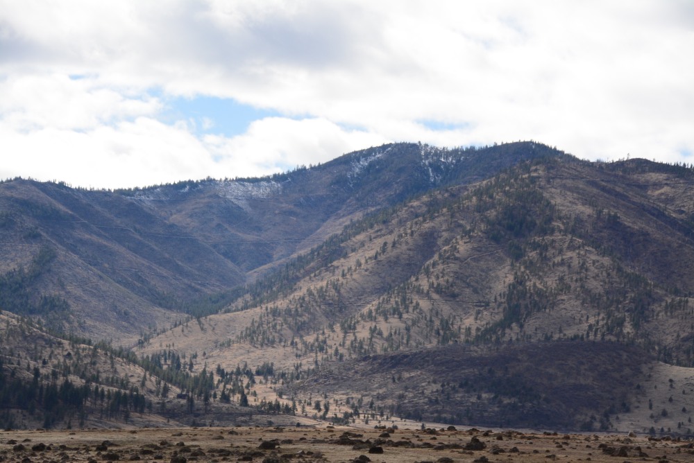 DSC_4266.JPG