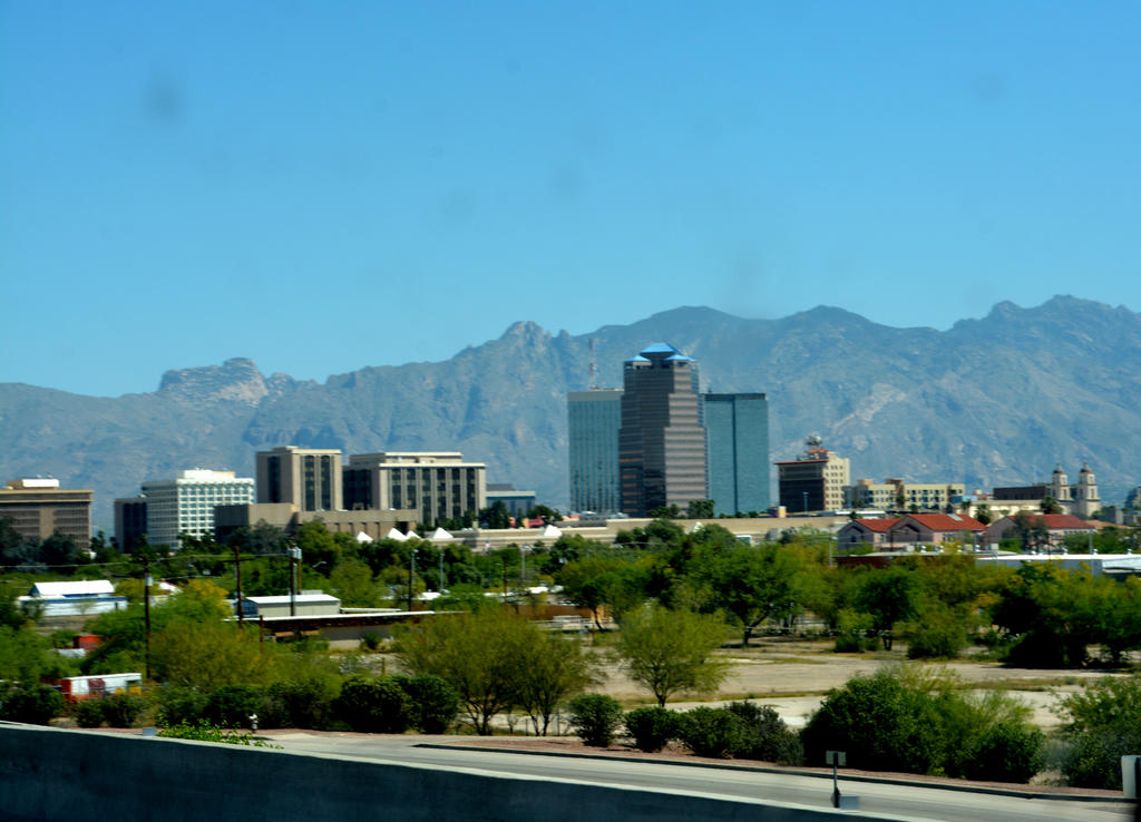 DSC_4278.jpg