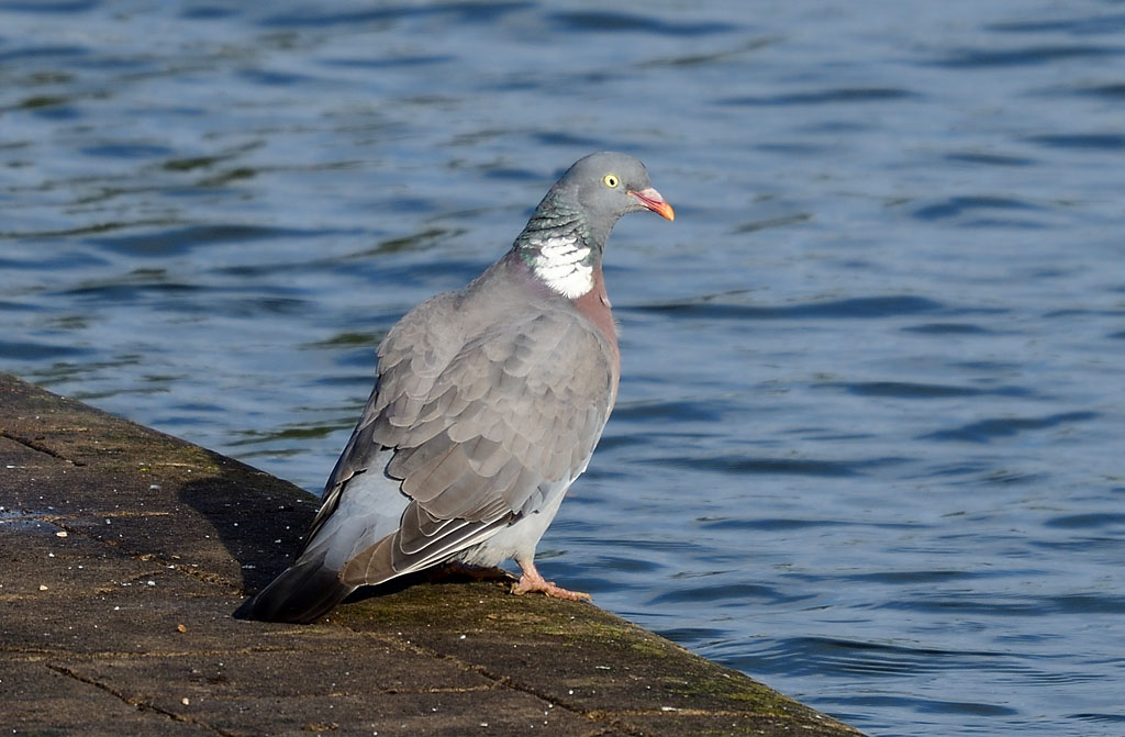 DSC_4279.jpg