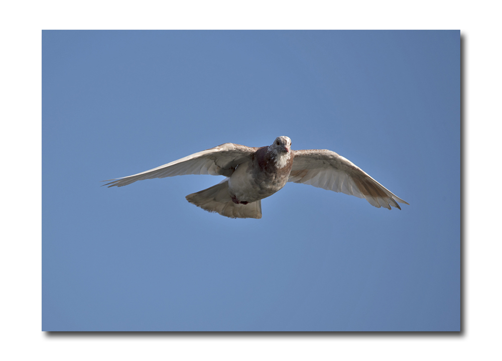 DSC_4283.jpg