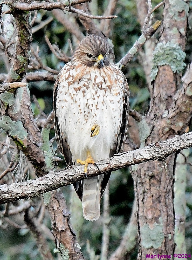 DSC_4283_001.JPG