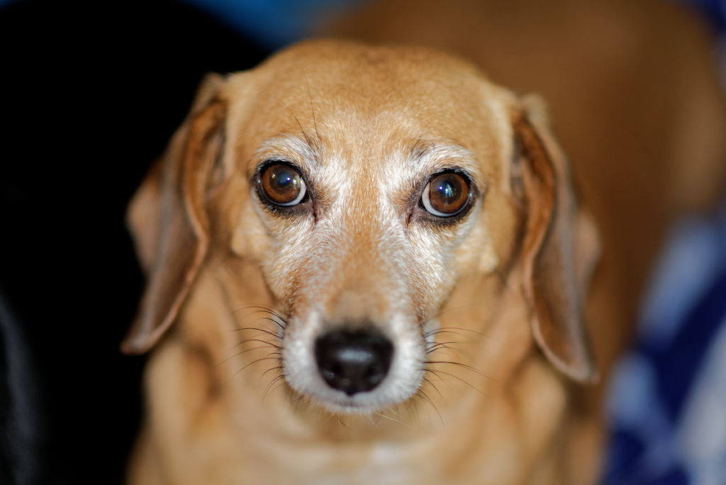 DSC_4285_DxO.jpg