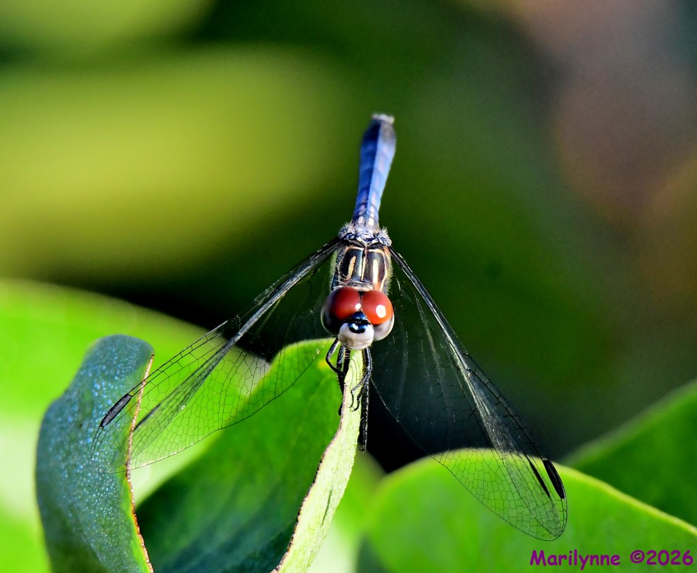 DSC_4291_001.JPG