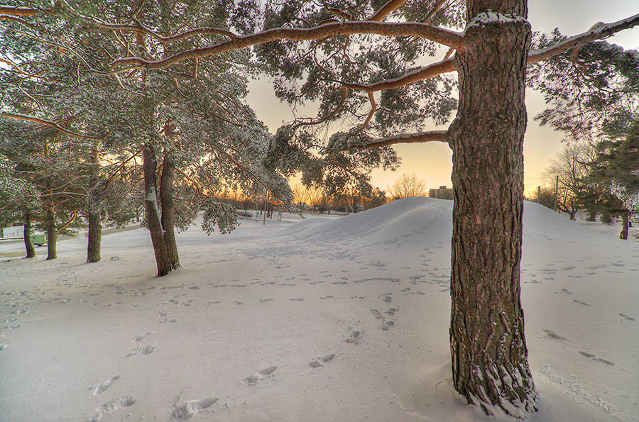 DSC_4292_3_4_tonemapped.jpg