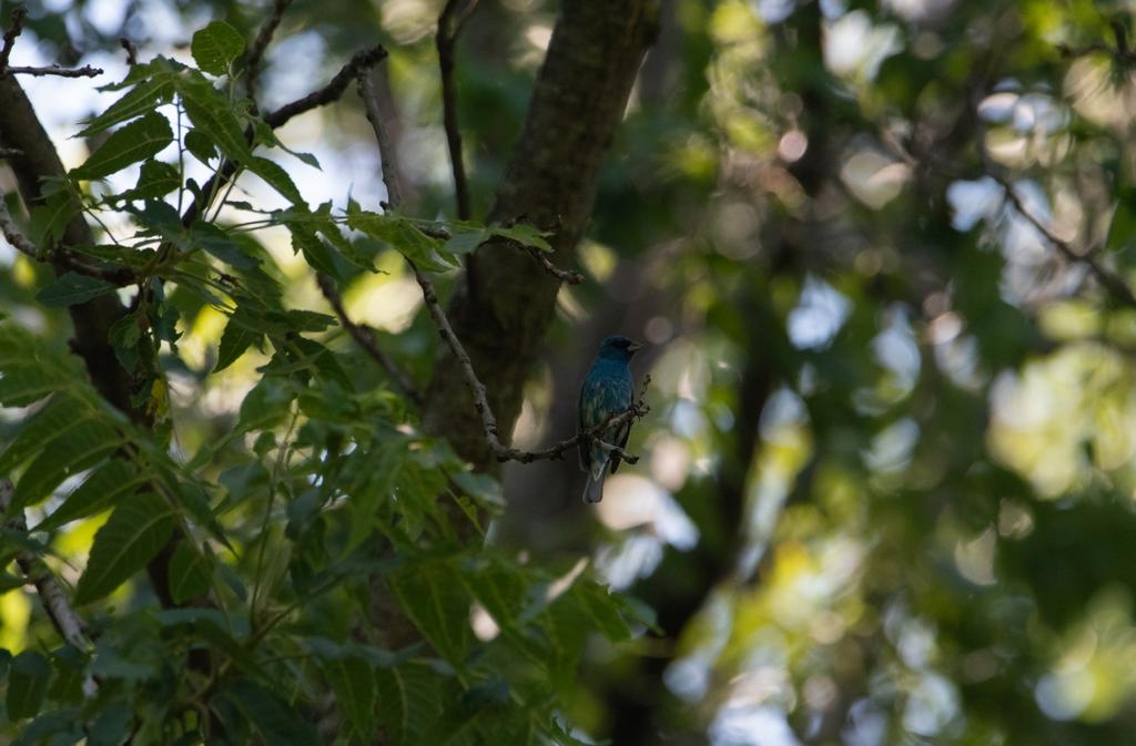 DSC_4296.jpg