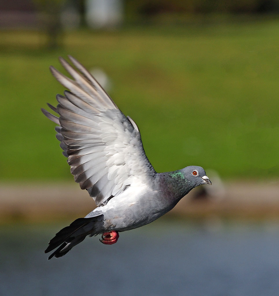 DSC_4297.jpg