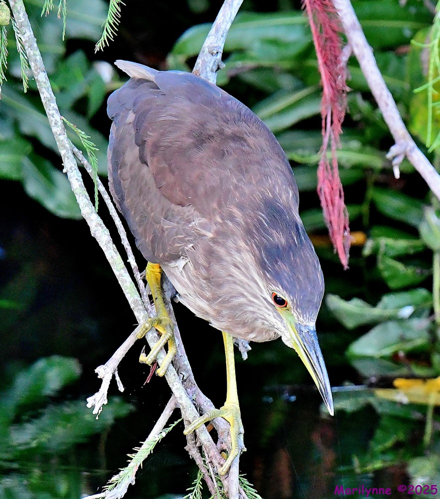 DSC_4297_001.JPG