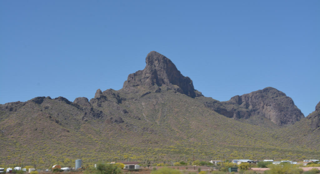 DSC_4299.jpg