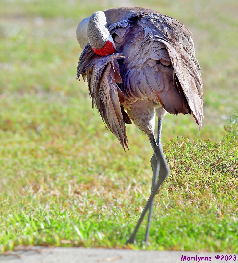 DSC_4306_stitch4_001.JPG