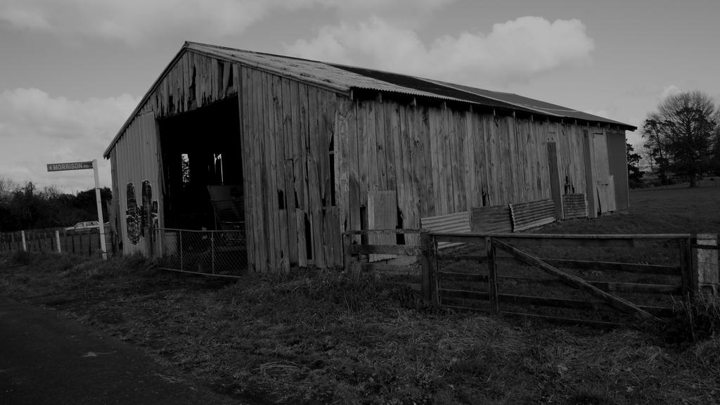 DSC_4307 B&W.jpg