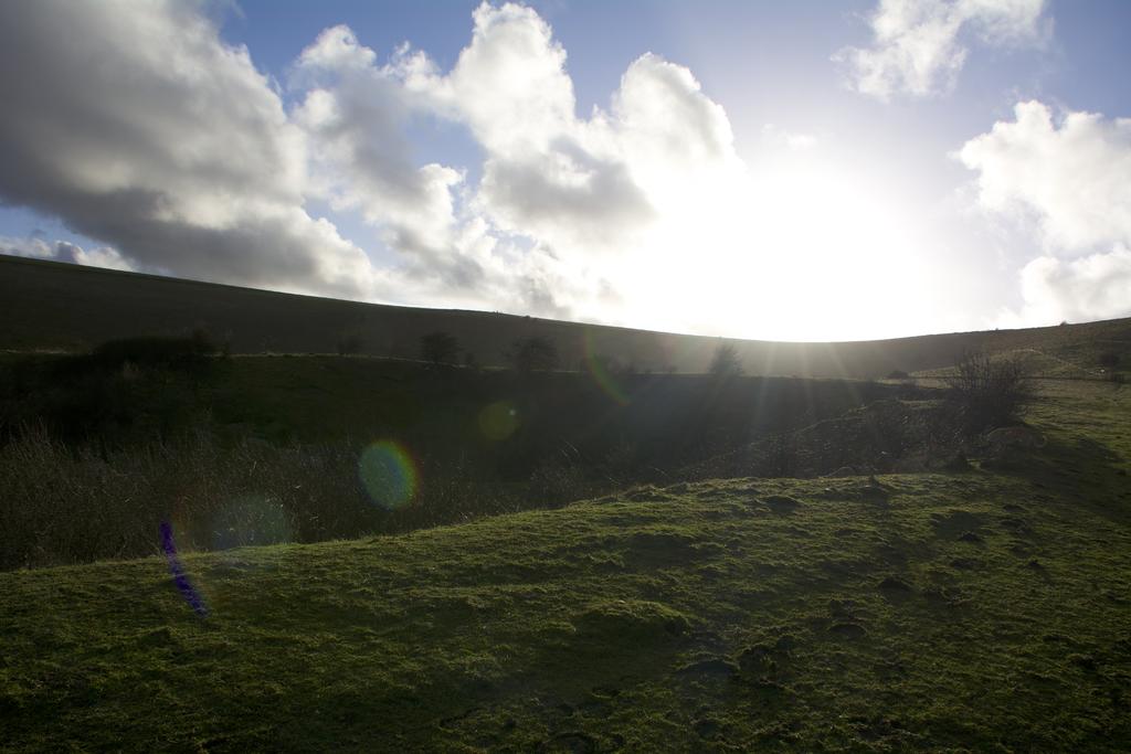 DSC_4317.jpg