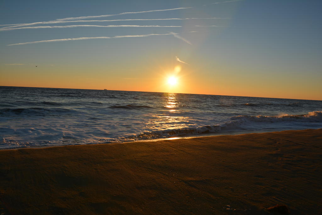 DSC_4319.jpg