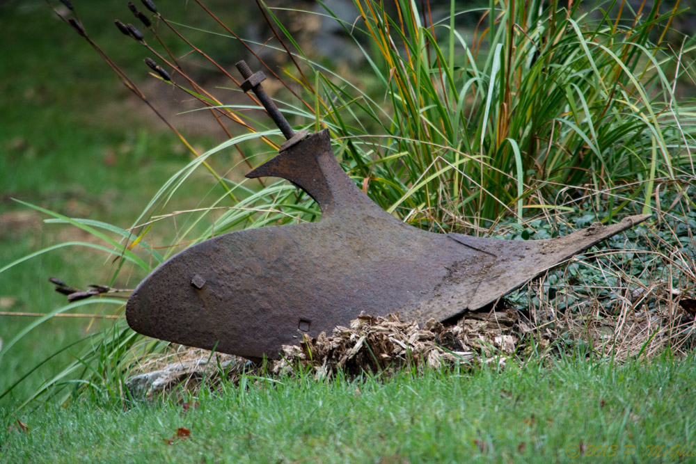 DSC_4321.jpg