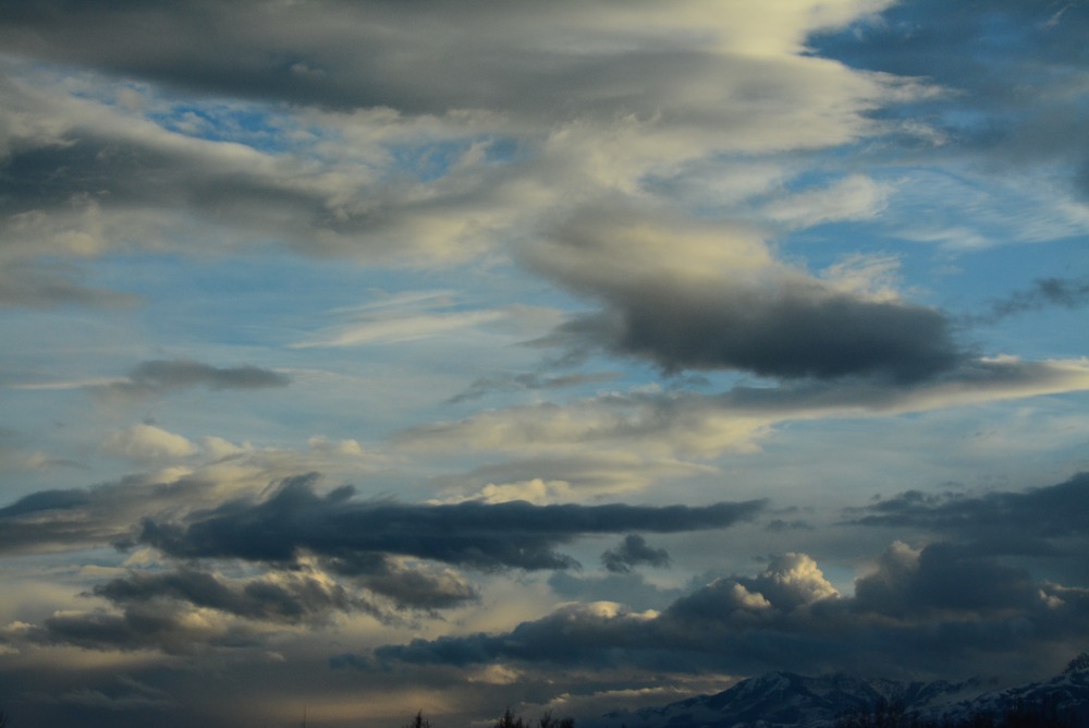 DSC_4321.JPG