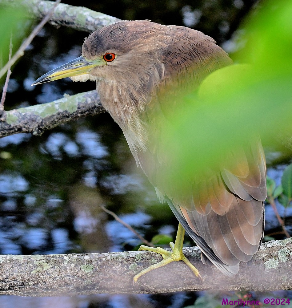 DSC_4328_001.JPG